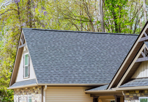 Best Roof Insulation Installation  in Elkin, NC